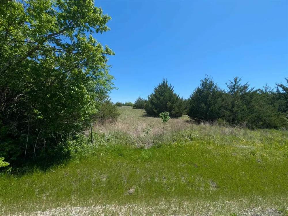 11008 County Road 670 Blue Ridge, TX 75424