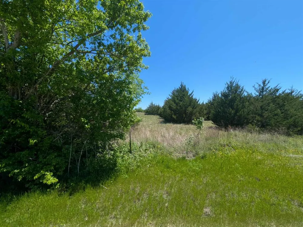 11008 County Road 670 Blue Ridge, TX 75424