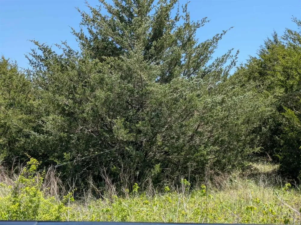 11008 County Road 670 Blue Ridge, TX 75424