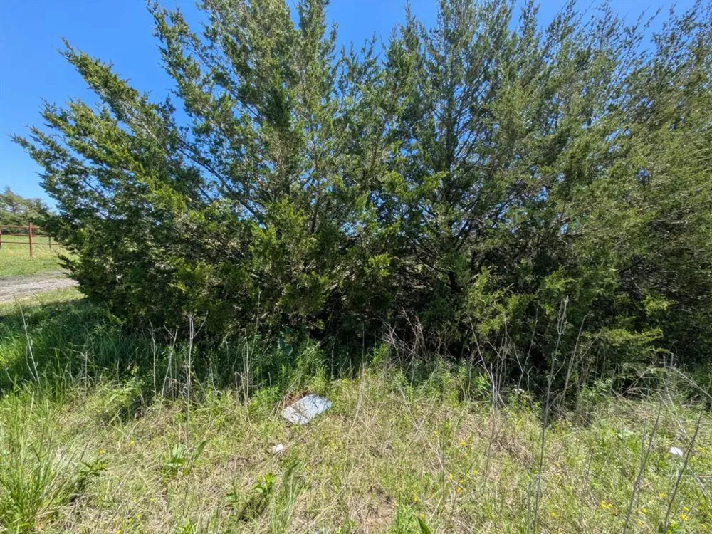 11008 County Road 670 Blue Ridge, TX 75424
