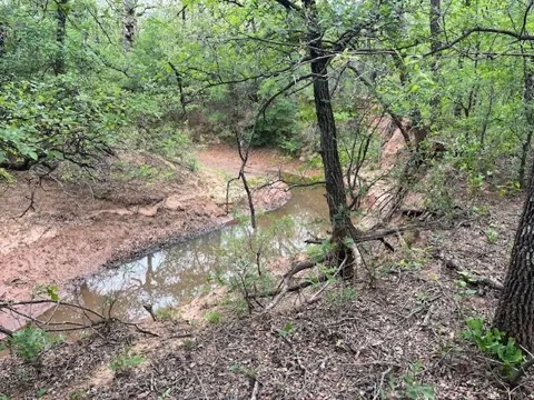 Hoffman Road