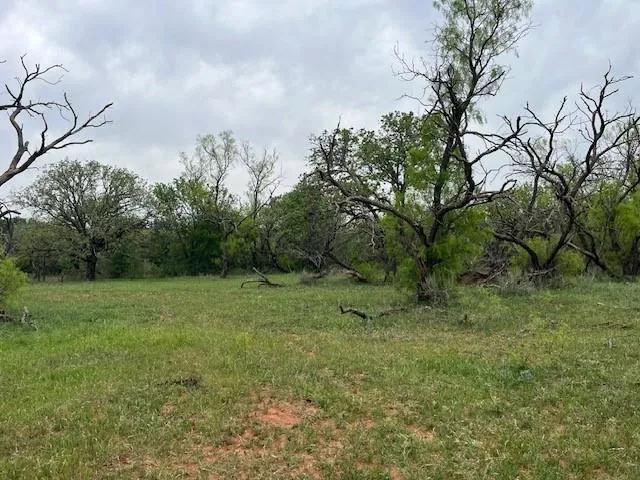 Hoffman Road Loving, TX 76460