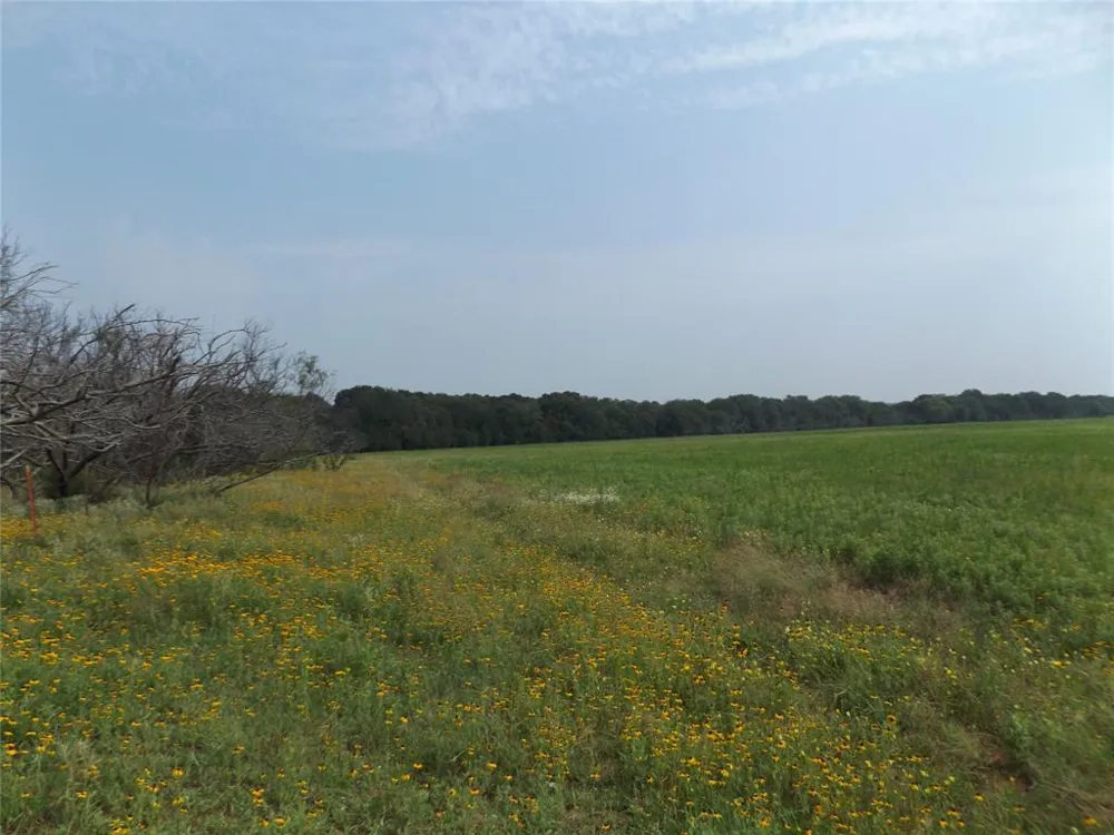 Hoffman Road Loving, TX 76460