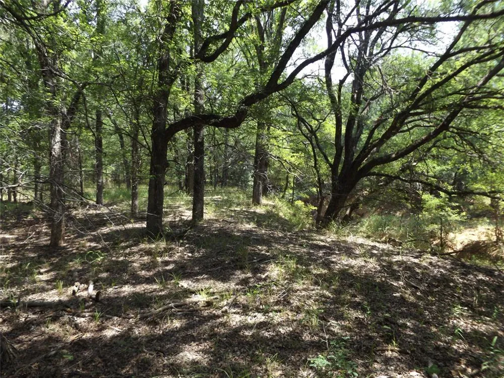 Hoffman Road Loving, TX 76460