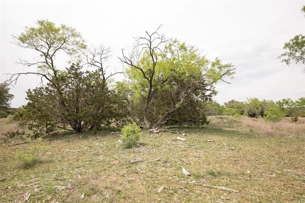 Shin Oak Drive Lampasas, TX 76550