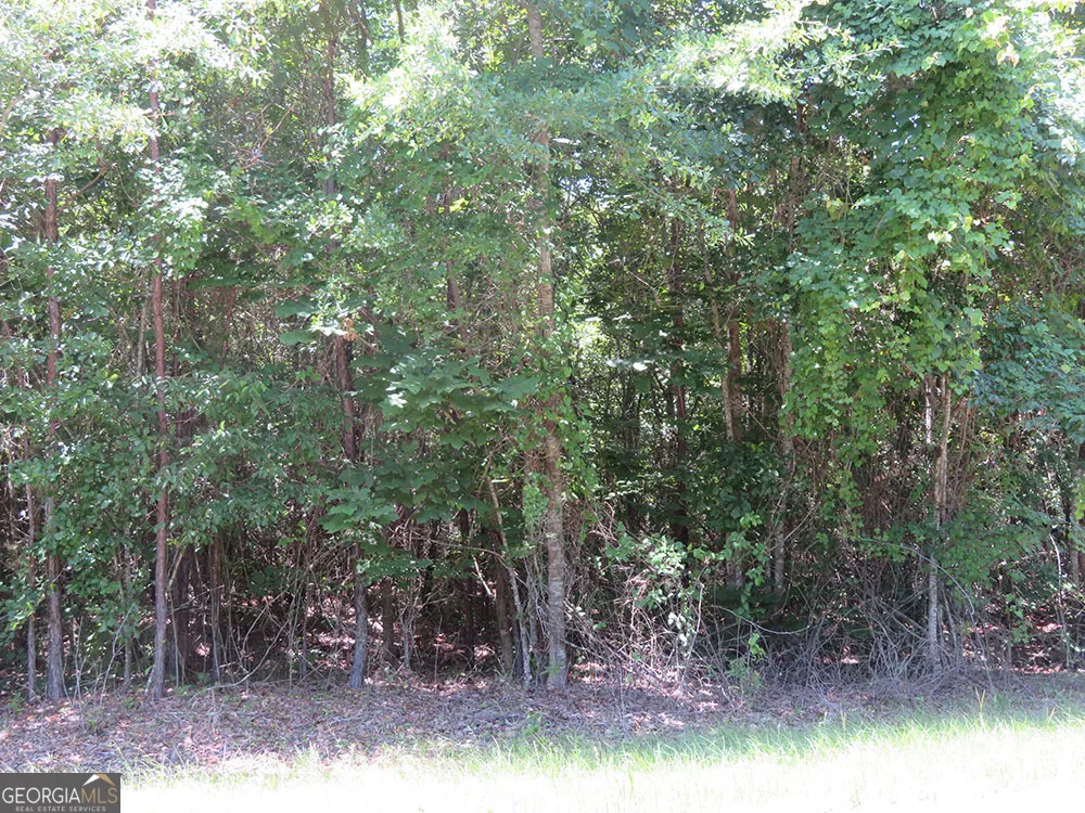 B 1 Cool Branch RD Georgetown, GA 39854