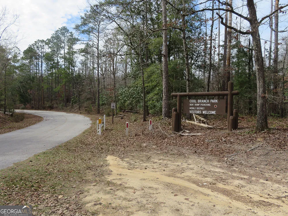B 1 Cool Branch RD Georgetown, GA 39854