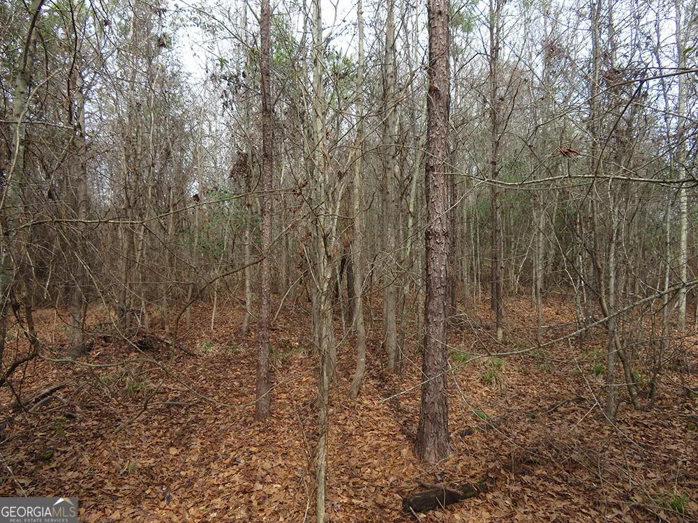 B 1 Cool Branch RD Georgetown, GA 39854