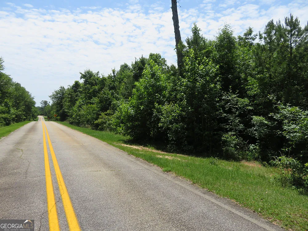 B 1 Cool Branch RD Georgetown, GA 39854