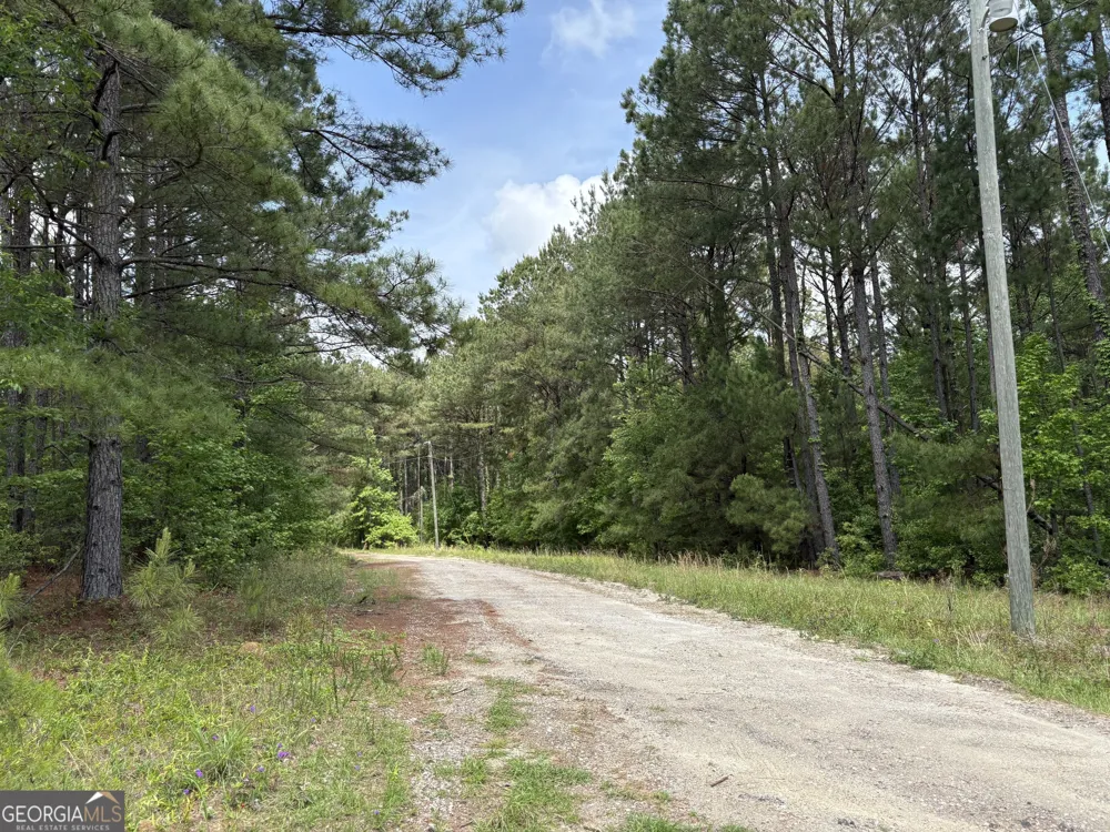 850 Buttermilk RD Sylvania, GA 30467