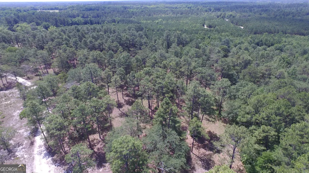 0 Ben Grady Collins RD Portal, GA 30450