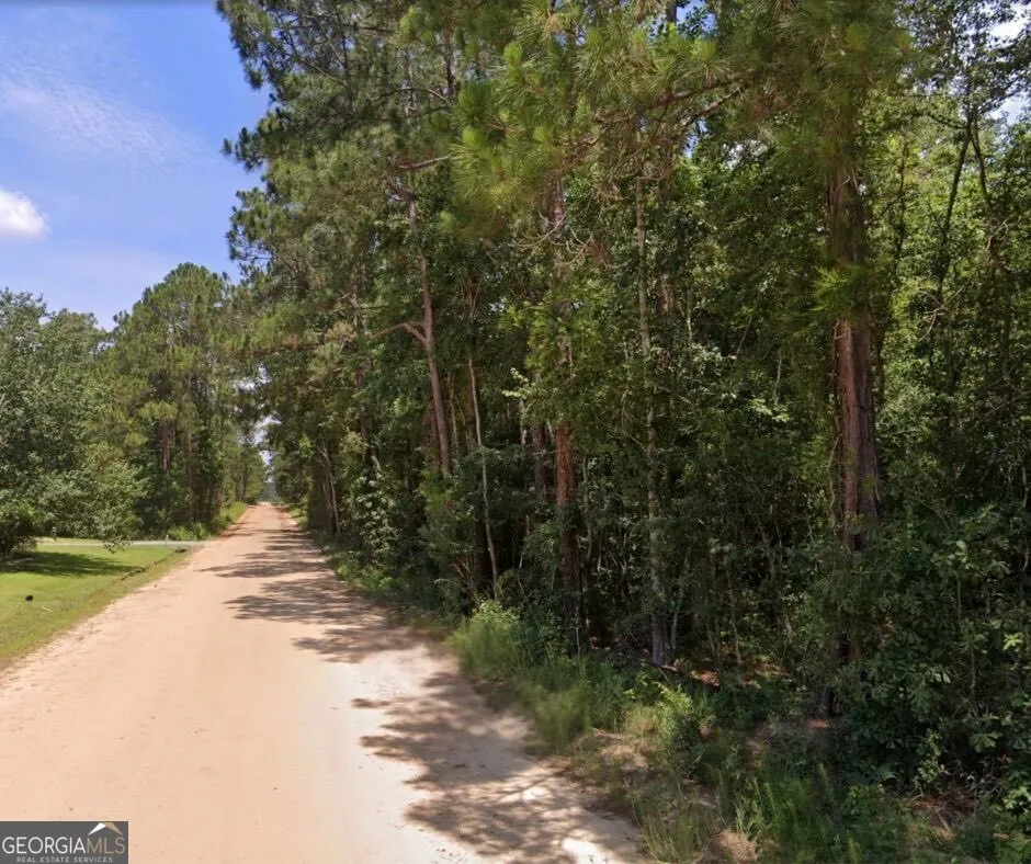 6.80 AC Scarlet RD Lyons, GA 30436