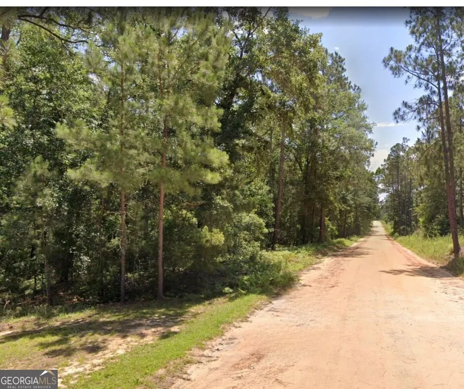 6.80 AC Scarlet RD Lyons, GA 30436