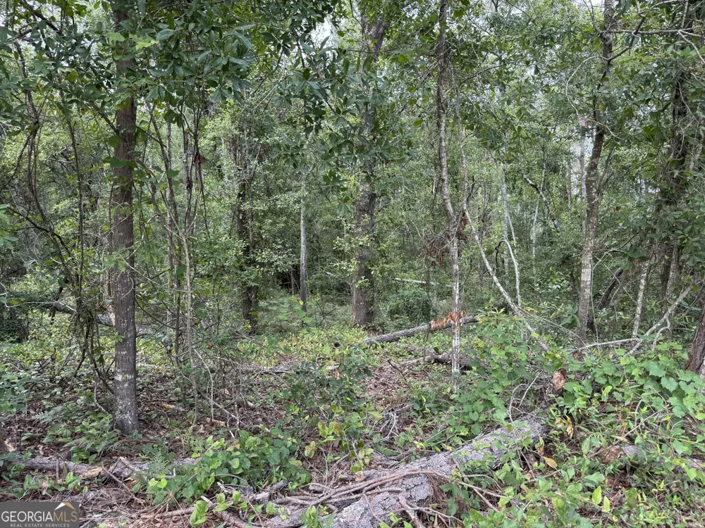 6.80 AC Scarlet RD Lyons, GA 30436