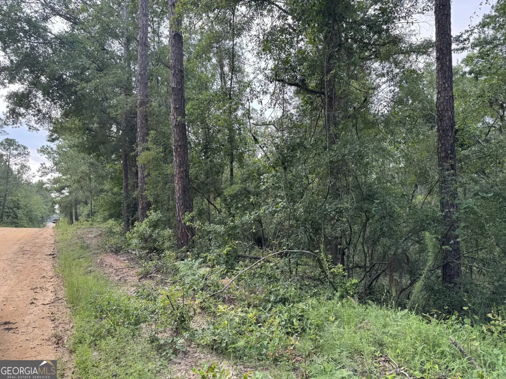 6.80 AC Scarlet RD Lyons, GA 30436