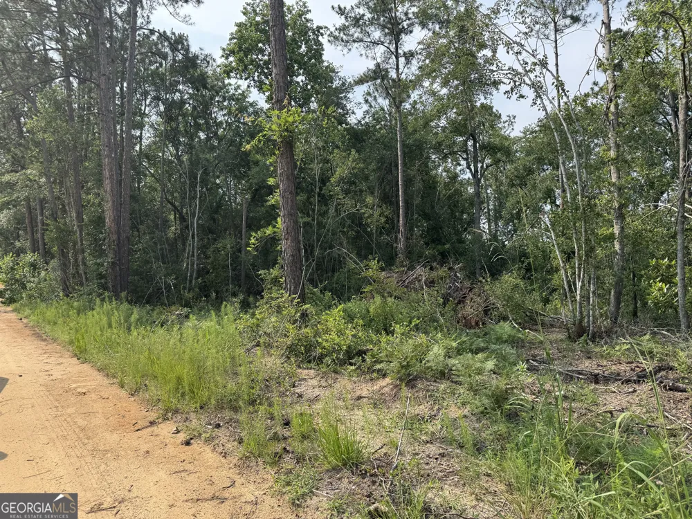 6.80 AC Scarlet RD Lyons, GA 30436