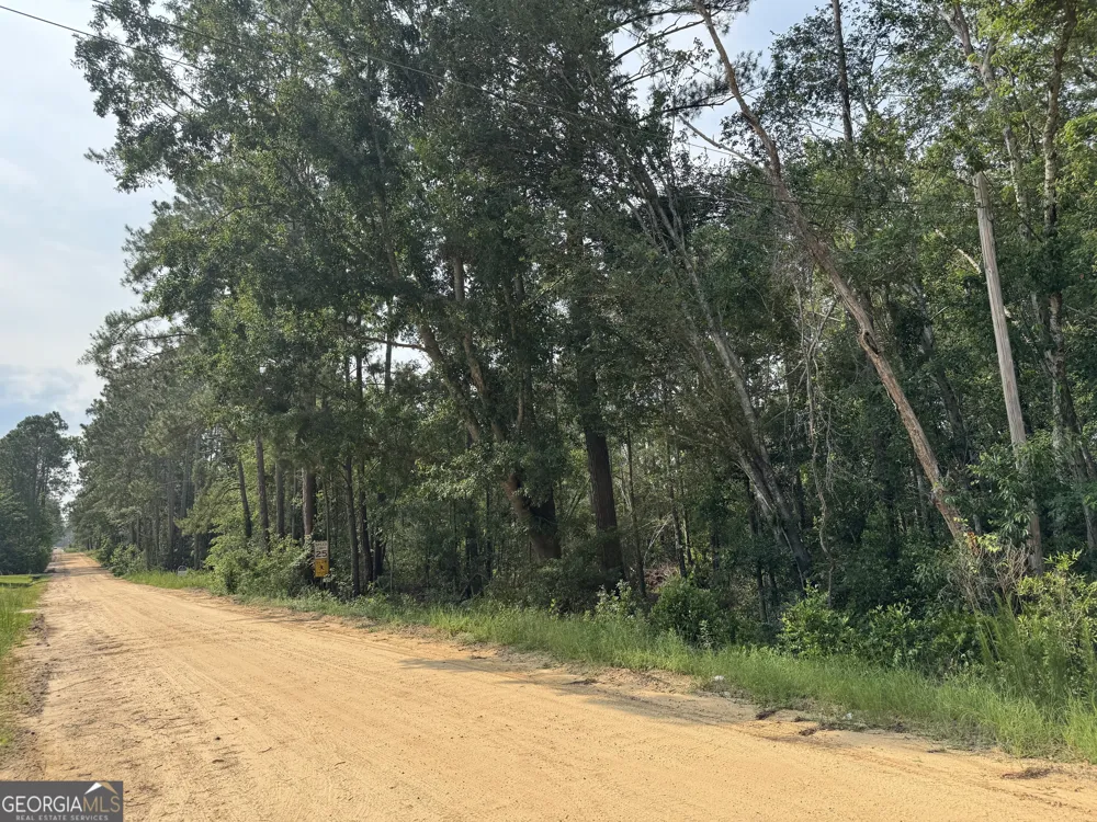 6.80 AC Scarlet RD Lyons, GA 30436
