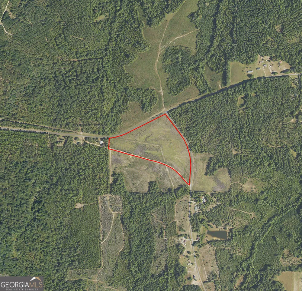 1 C Pineville RD Buena Vista, GA 31803