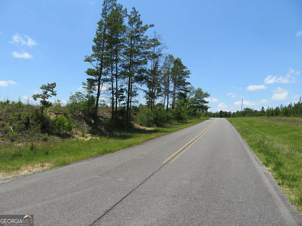 1 C Pineville RD Buena Vista, GA 31803