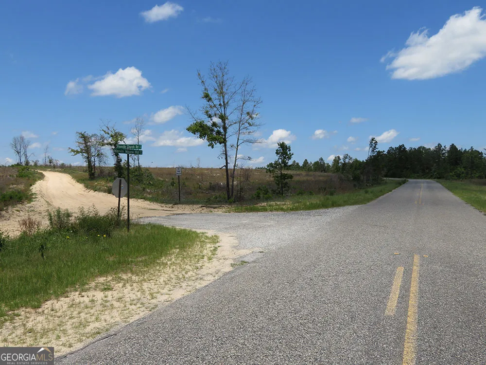 1 C Pineville RD Buena Vista, GA 31803
