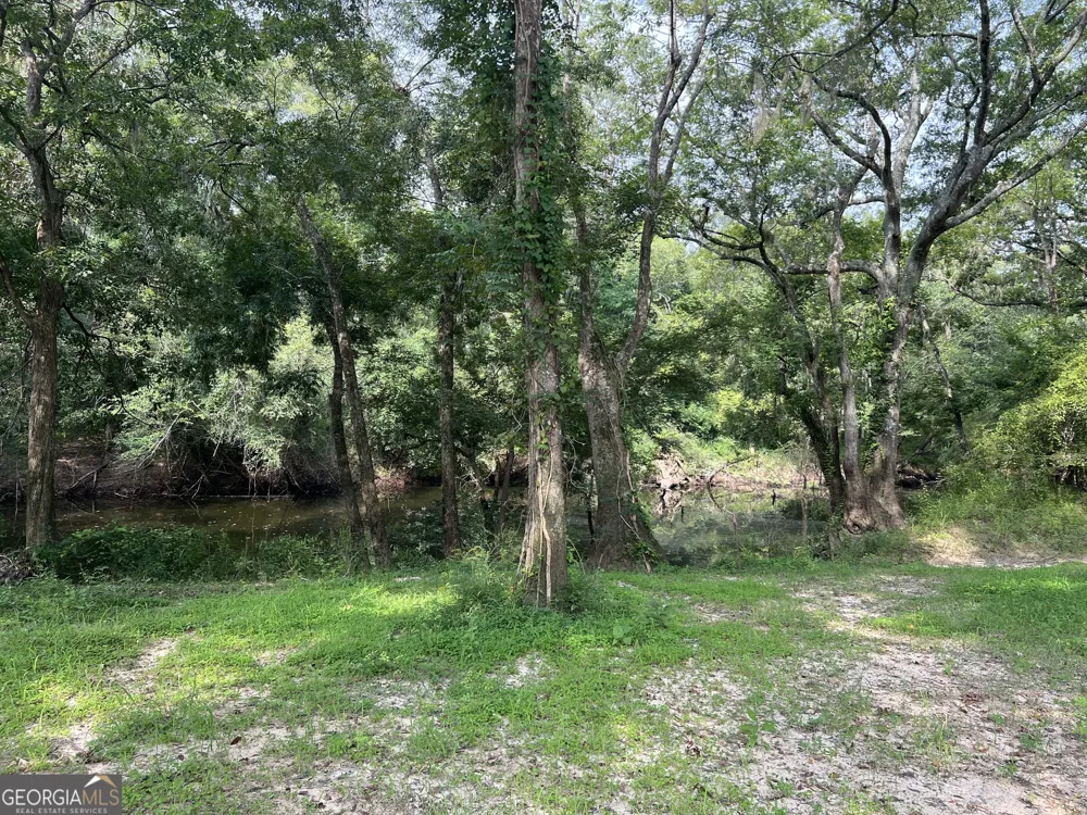 1564 Eagles PT Surrency, GA 31563