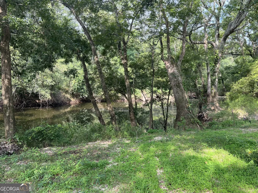1564 Eagles PT Surrency, GA 31563