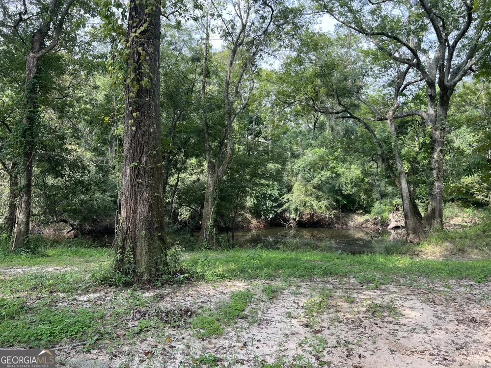 1564 Eagles PT Surrency, GA 31563