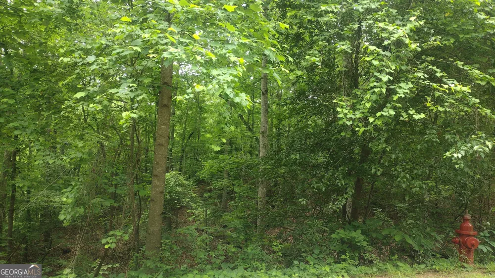 0 Pebble Creek LN Alto, GA 30510