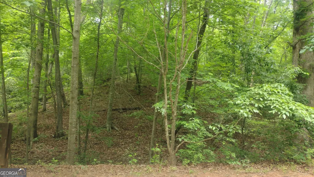 0 Pebble Creek LN Alto, GA 30510
