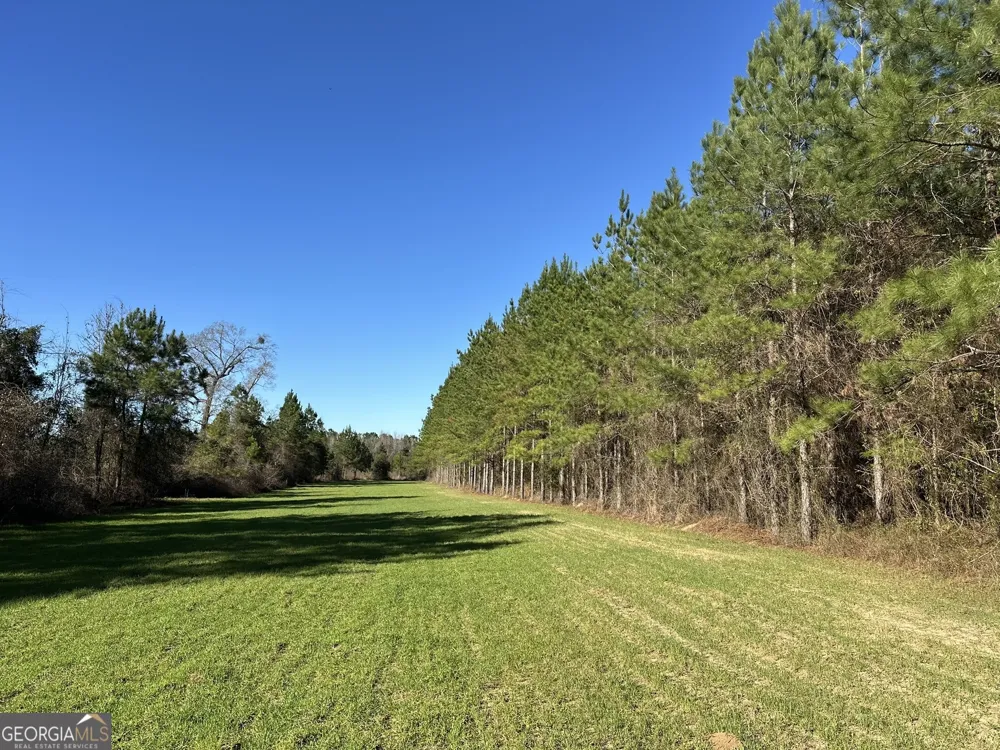 014 Mt Zion RD Gordon, AL 36343