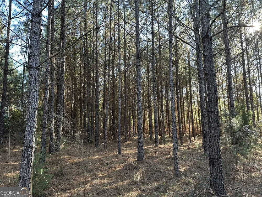 014 Mt Zion RD Gordon, AL 36343