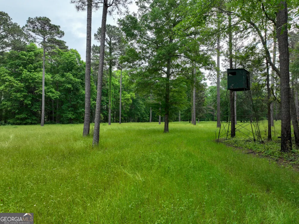 6620 Jr Sims RD Irwinton, GA 31042