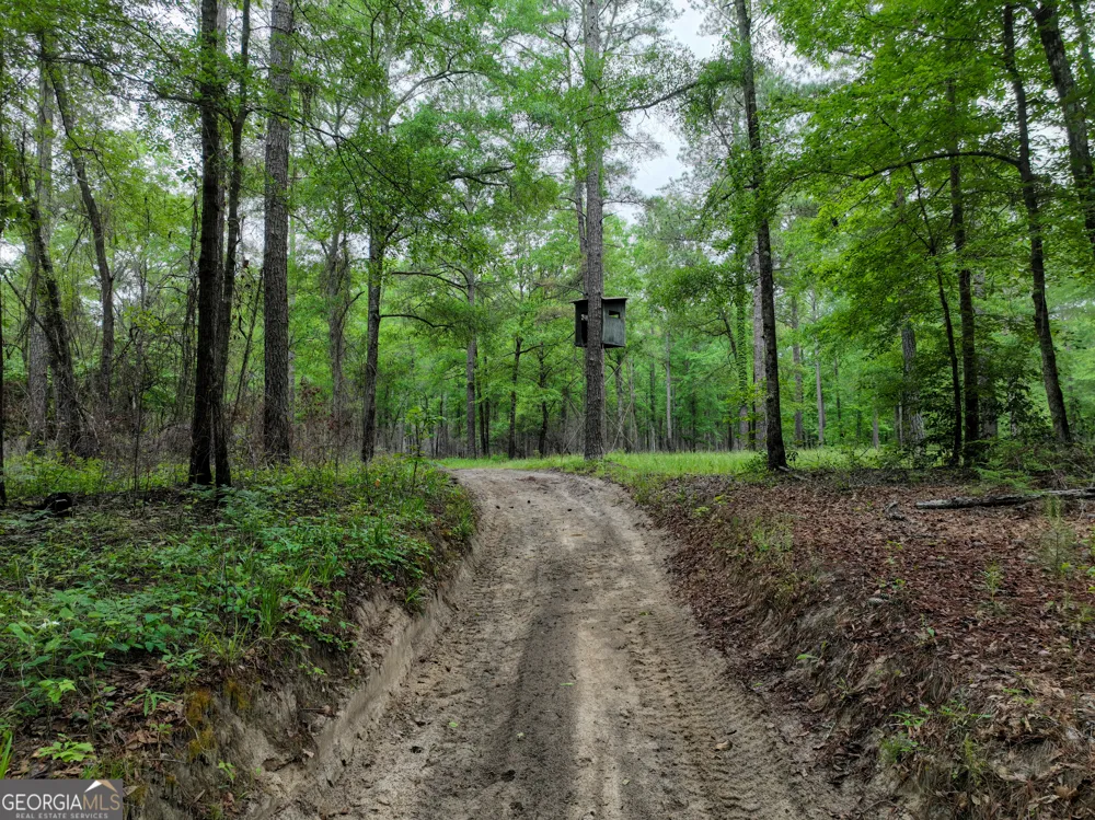6620 Jr Sims RD Irwinton, GA 31042