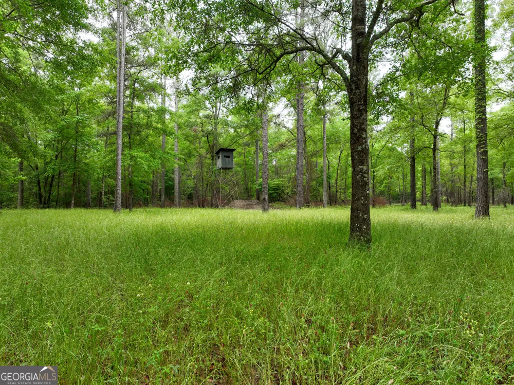 6620 Jr Sims RD Irwinton, GA 31042