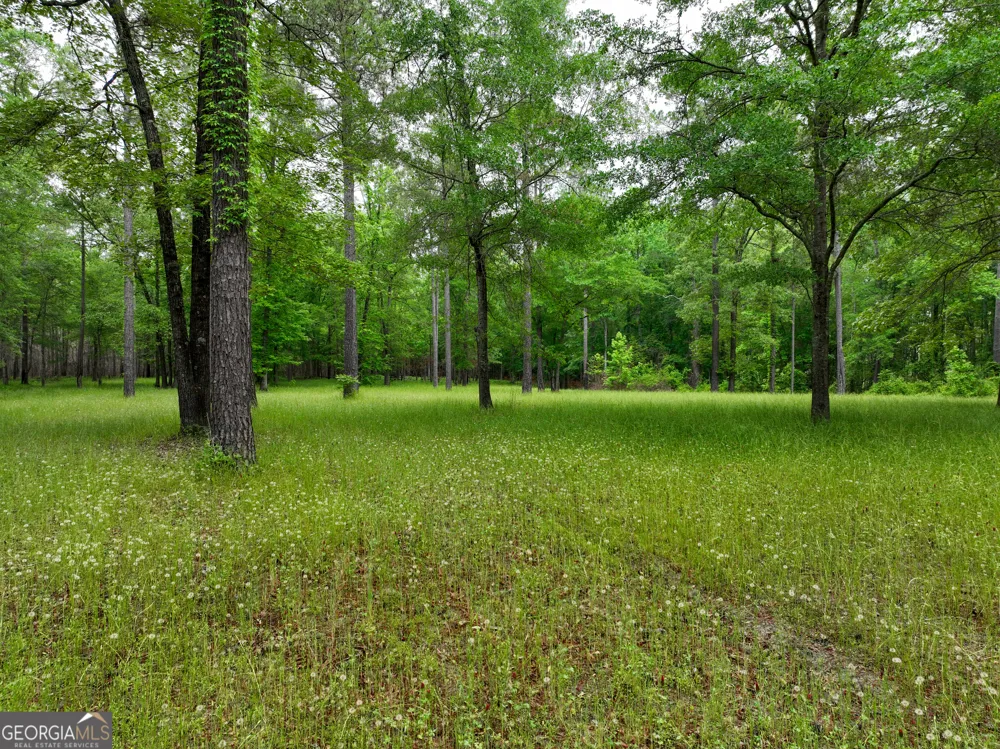 6620 Jr Sims RD Irwinton, GA 31042