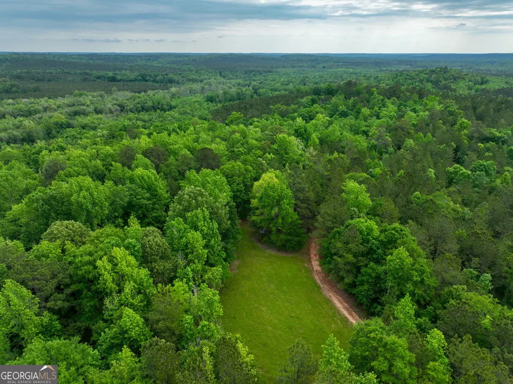 6620 Jr Sims RD Irwinton, GA 31042