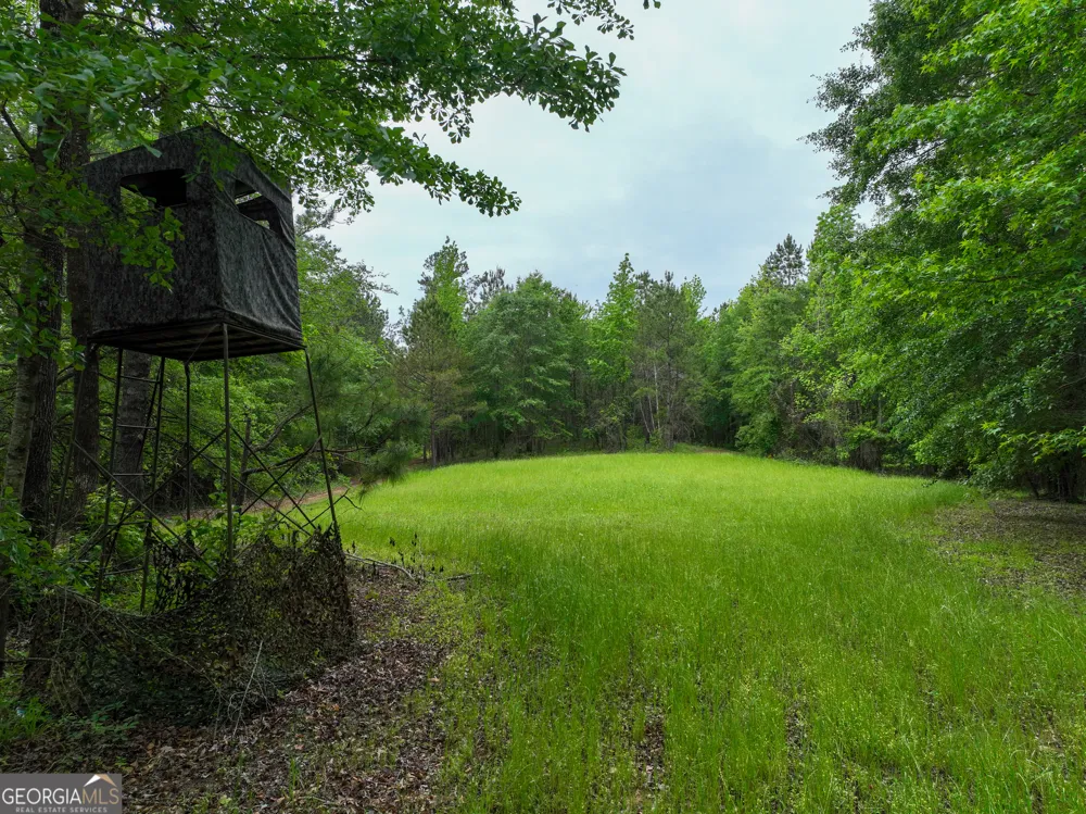 6620 Jr Sims RD Irwinton, GA 31042