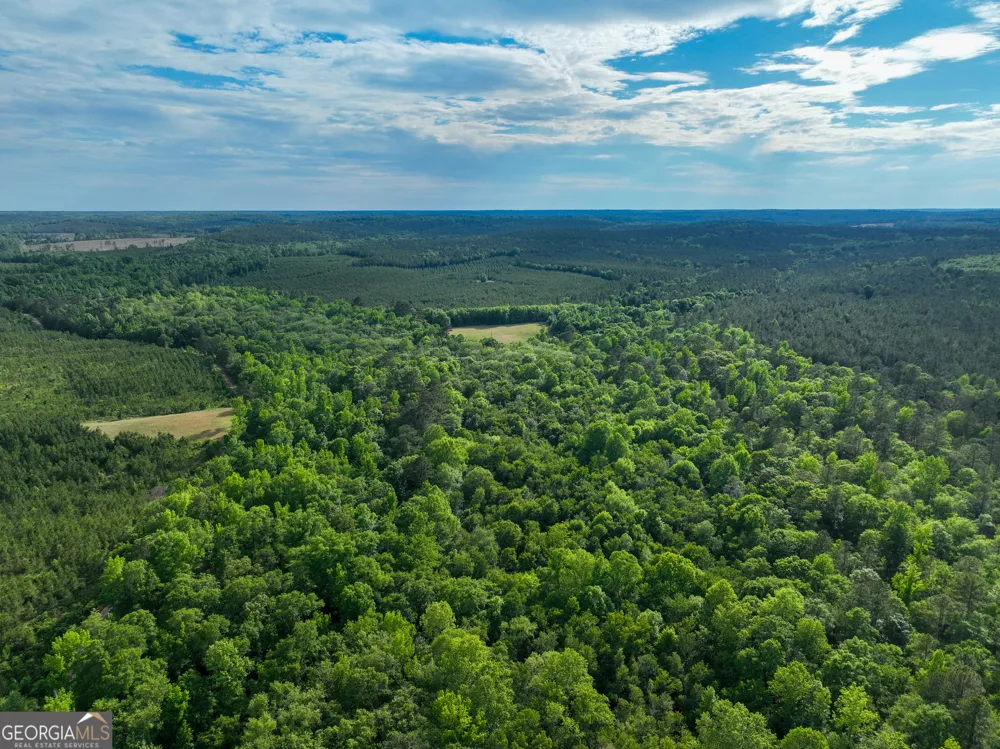 6620 Jr Sims RD Irwinton, GA 31042