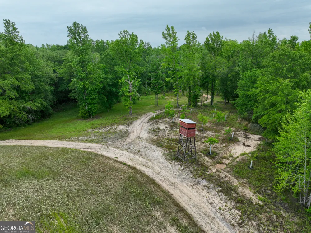 6620 Jr Sims RD Irwinton, GA 31042