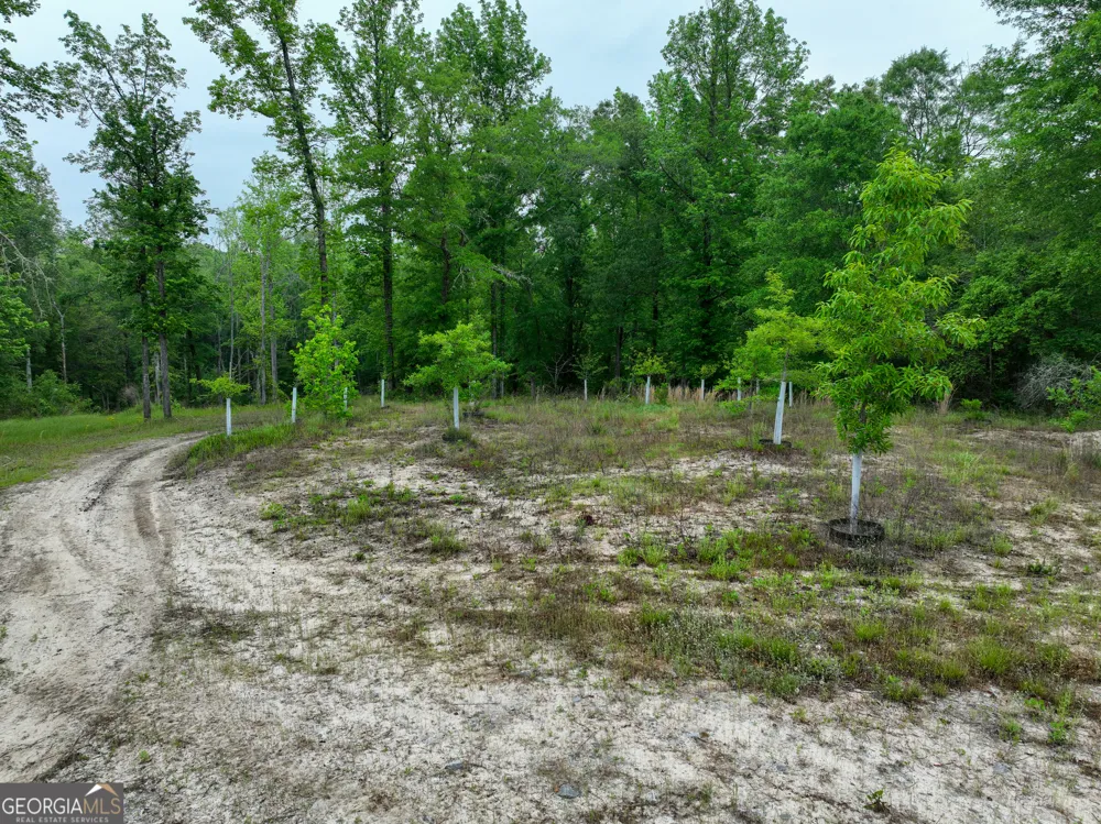 6620 Jr Sims RD Irwinton, GA 31042