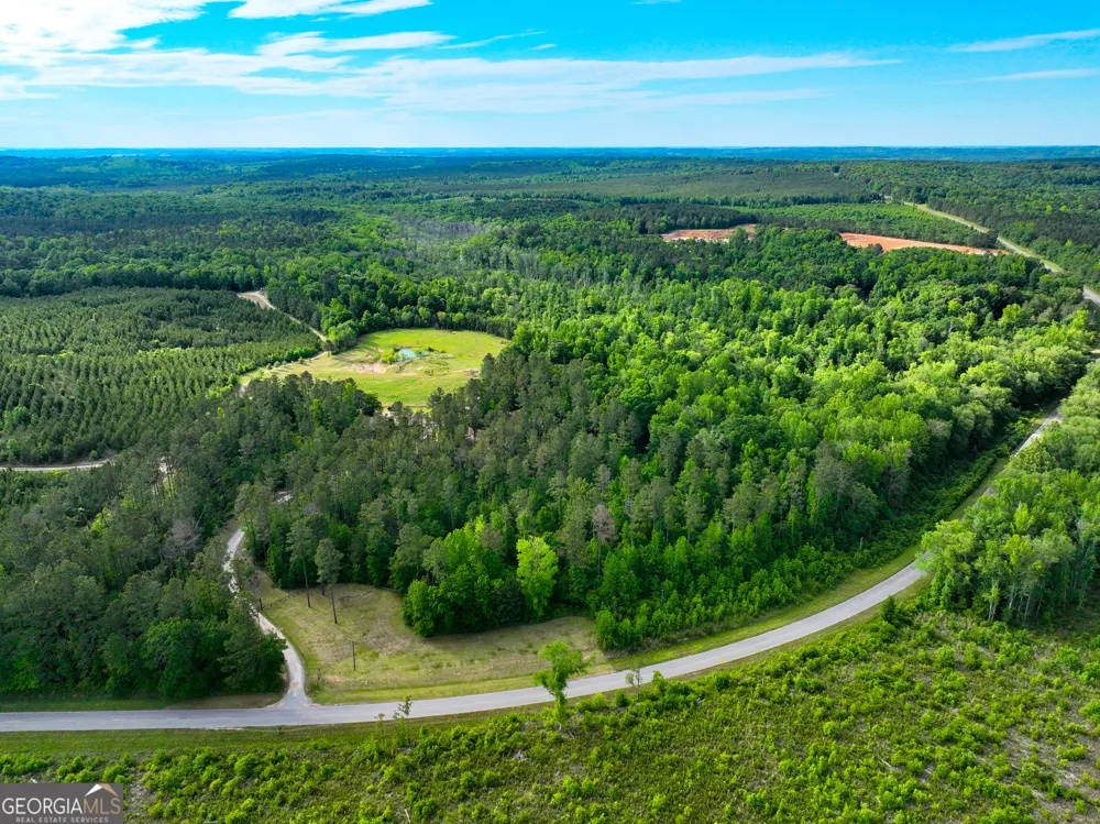 6620 Jr Sims RD Irwinton, GA 31042