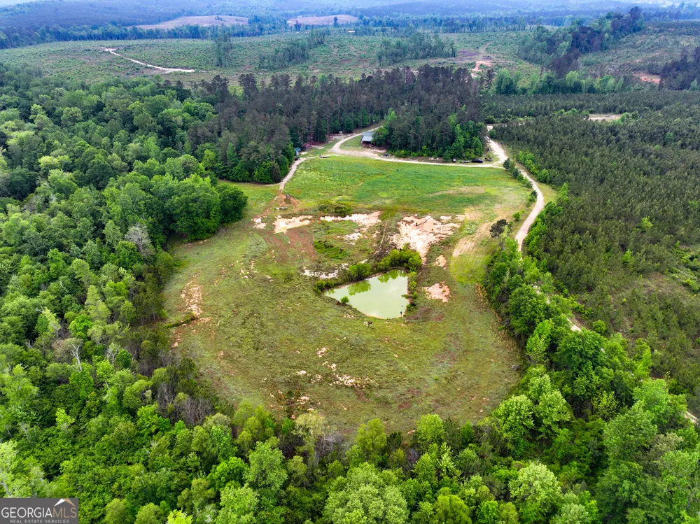 6620 Jr Sims RD Irwinton, GA 31042