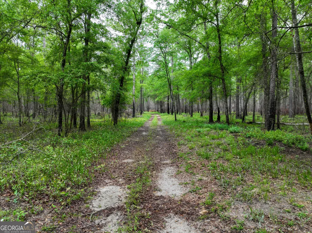 6620 Jr Sims RD Irwinton, GA 31042