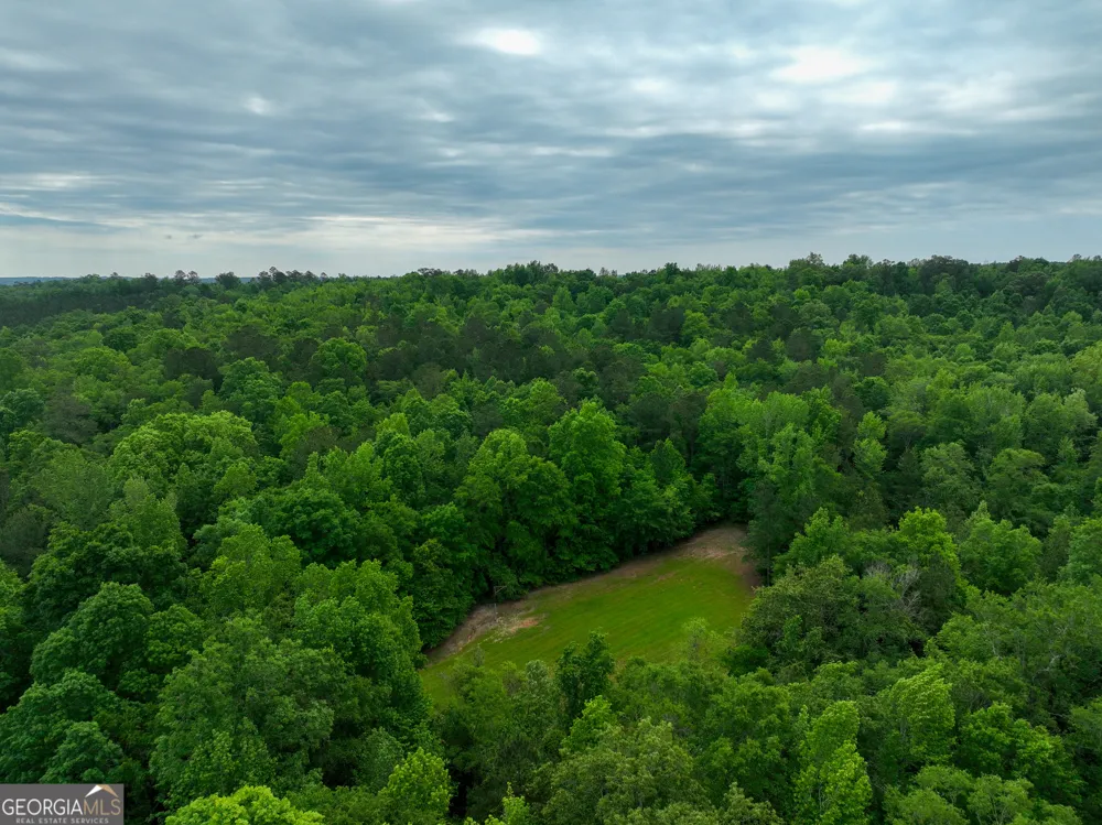 6620 Jr Sims RD Irwinton, GA 31042
