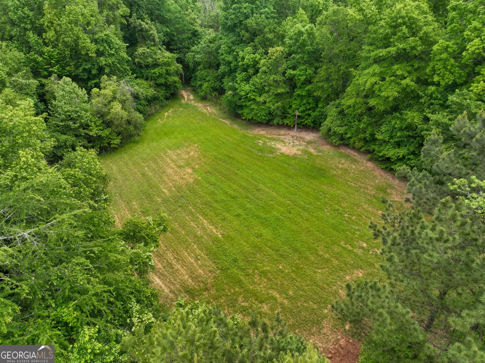 6620 Jr Sims RD Irwinton, GA 31042