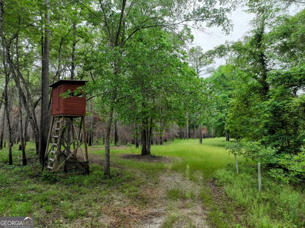 6620 Jr Sims RD Irwinton, GA 31042