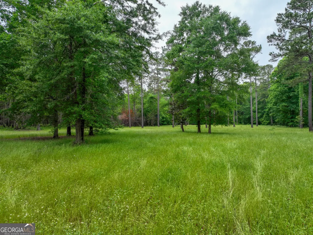 6620 Jr Sims RD Irwinton, GA 31042