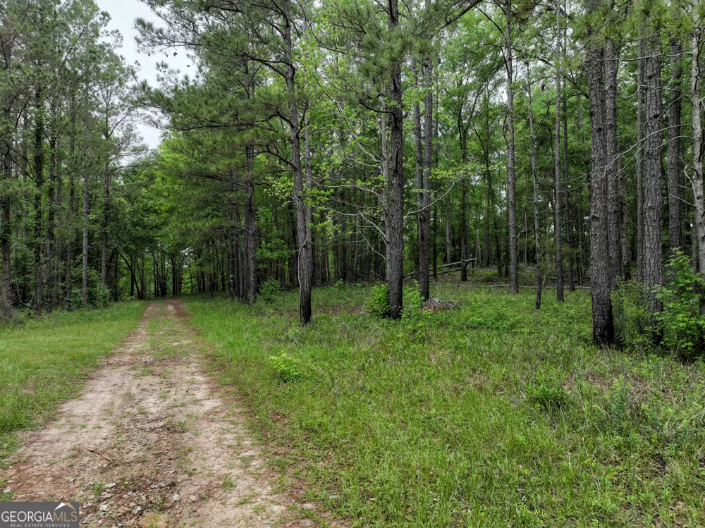 6620 Jr Sims RD Irwinton, GA 31042