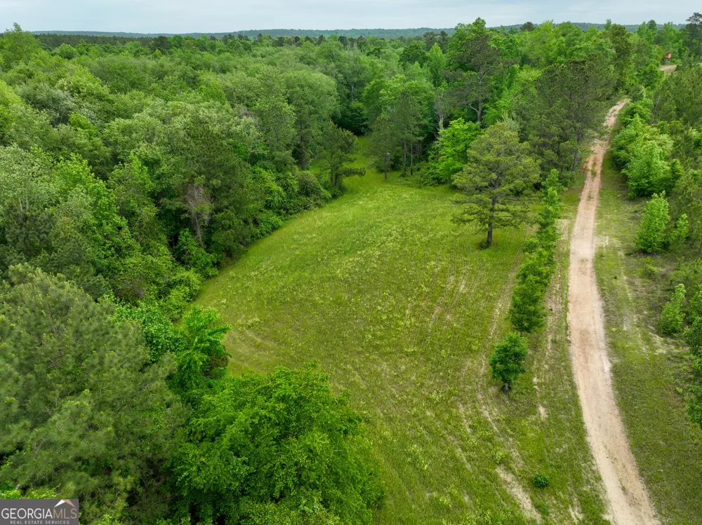 6620 Jr Sims RD Irwinton, GA 31042
