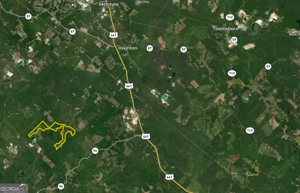 6620 Jr Sims RD Irwinton, GA 31042